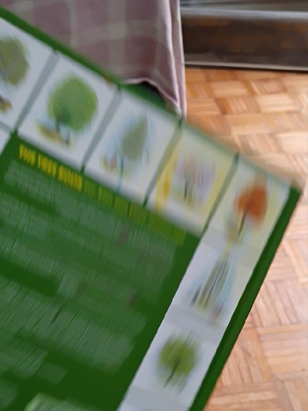 The Tree Book for Kids and Their Grown-ups - Green - Picture 5 of 5